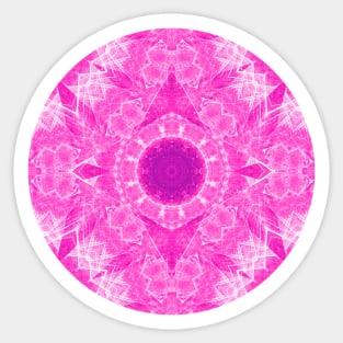 Pink kaleidoscope in the round Sticker